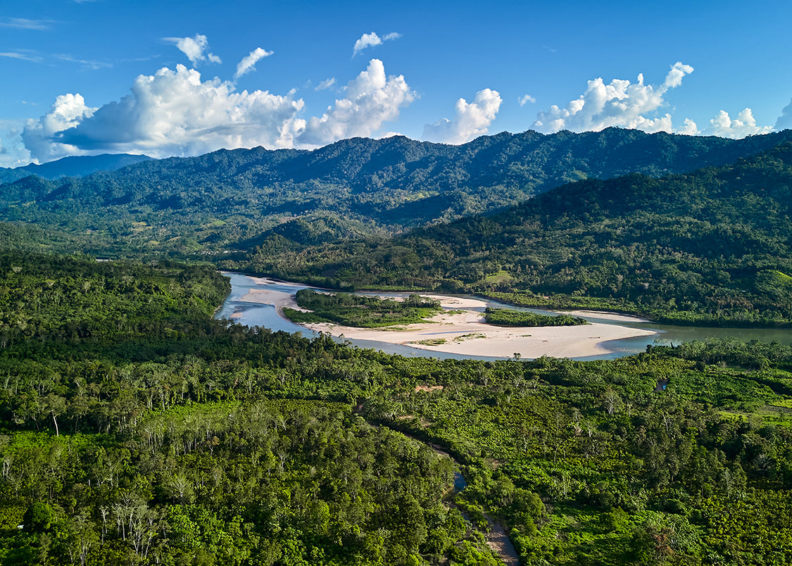 River surrounded by trees with mountains in distance, Cuencas Del Huallaga Coop, Peru